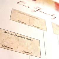 Genealogy Ancestry Family Tree Family